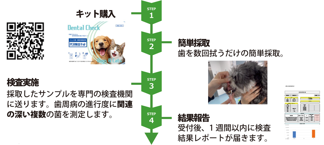 検査の流れ